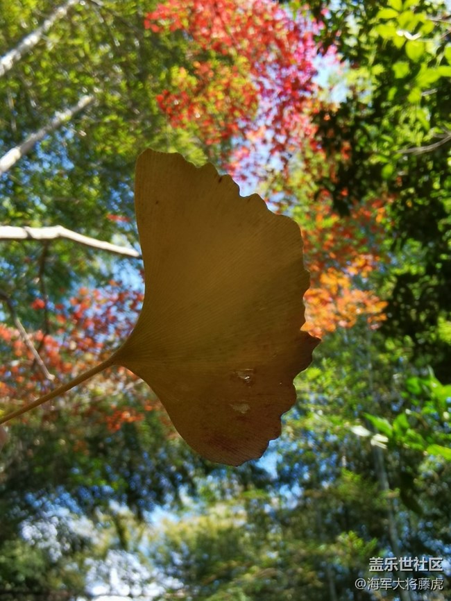 【秋末山景】秋色的多彩是大自然的缱倦问候