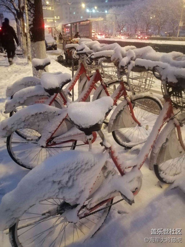 【银装视界】银装视界里的冬日温柔 【银装视界】银装视界里的冬日温柔