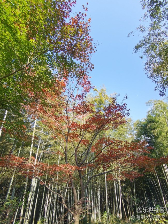 【秋末山景】秋色的多彩是大自然的缱倦问候