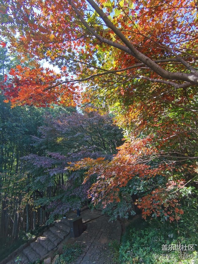 【秋末山景】秋色的多彩是大自然的缱倦问候