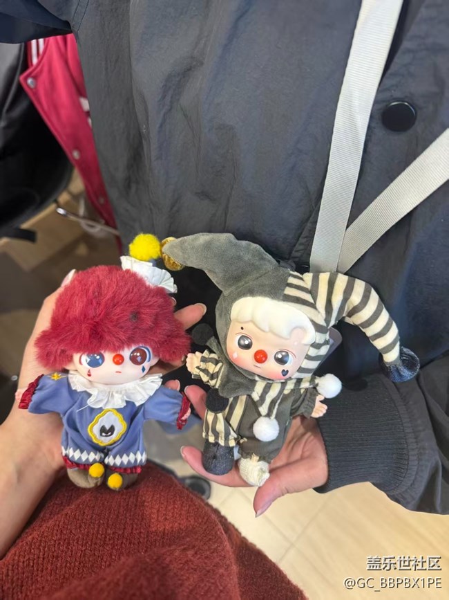 厦门星部落12月7号Z系列品鉴活动