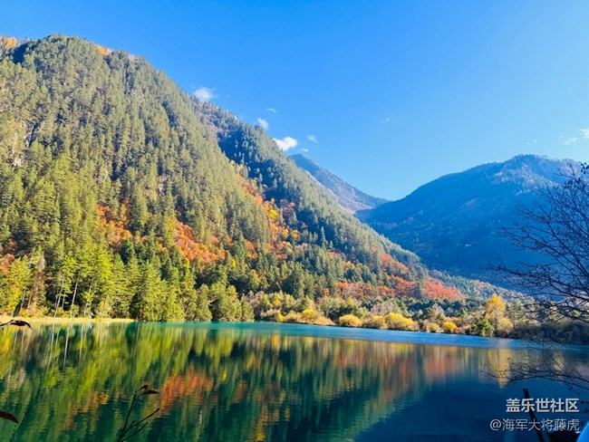 【秋末山景】九寨沟的秋,层林尽染 【秋末山景】九寨沟的秋,层林尽染