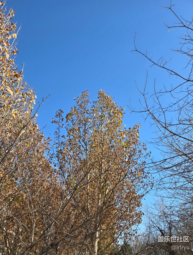 【秋末山景】流连秋日光景