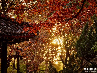 【初冬限定帧】+多彩的世界