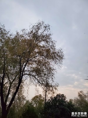 【初冬限定帧】暮色苍茫