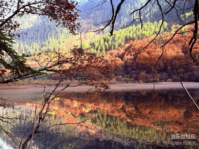 【秋末山景】九寨沟的秋,层林尽染 【秋末山景】九寨沟的秋,层林尽染