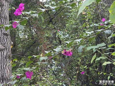 【初冬限定帧】+冬日的美好