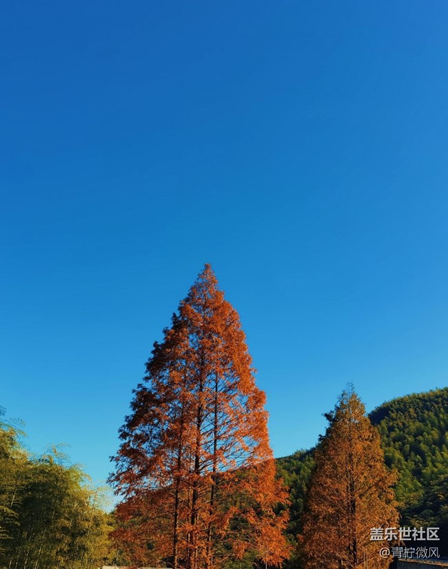 【地域拼图】秋色绘卷