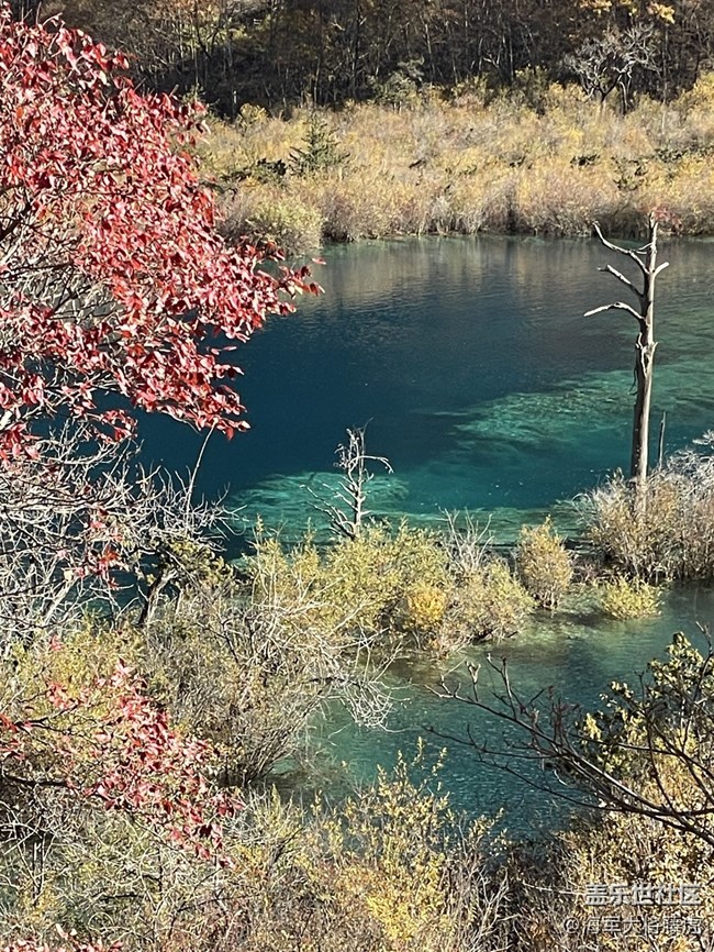 【秋末山景】九寨沟的秋,层林尽染 【秋末山景】九寨沟的秋,层林尽染