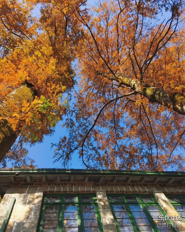 【地域拼图】秋色绘卷