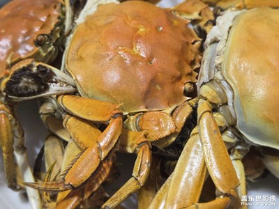 【初冬限定帧】美味