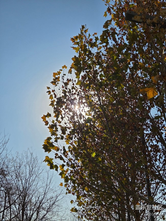 【秋末山景】流连秋日光景