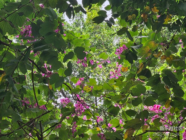 【街巷秋痕】街巷随拍