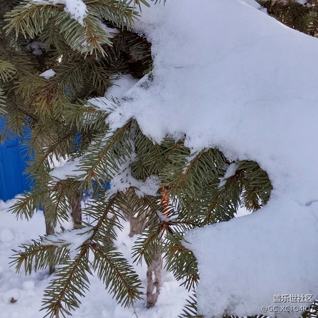 【银装视界】银装