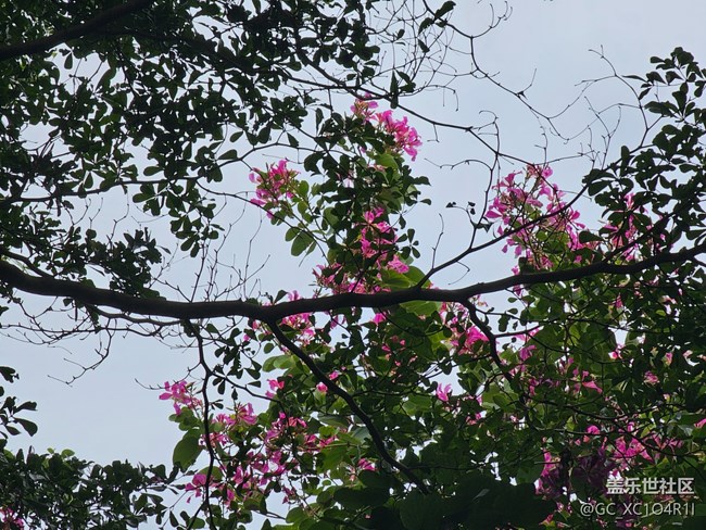 【街巷秋痕】街巷随拍