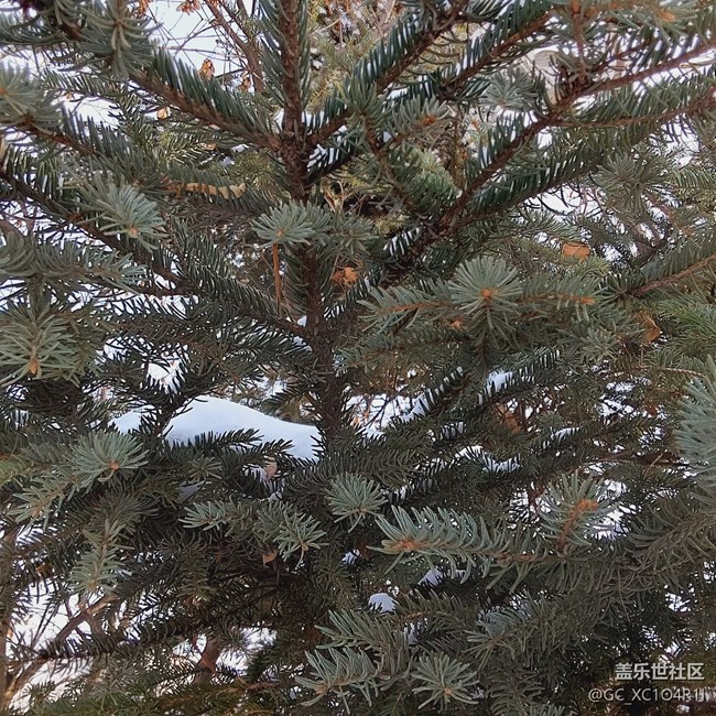 【银装视界】银装