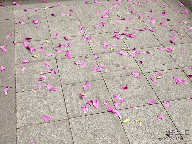 【街巷秋痕】街巷随拍