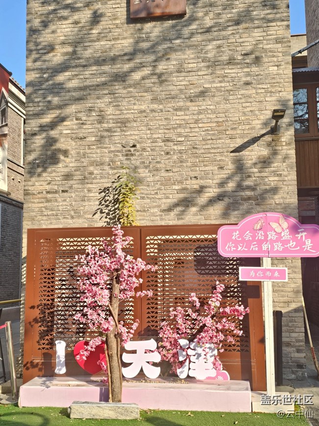 【星岁映像】天津掠影