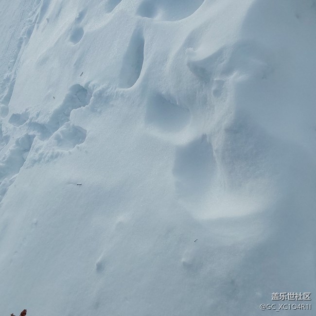 【银装视界】银装