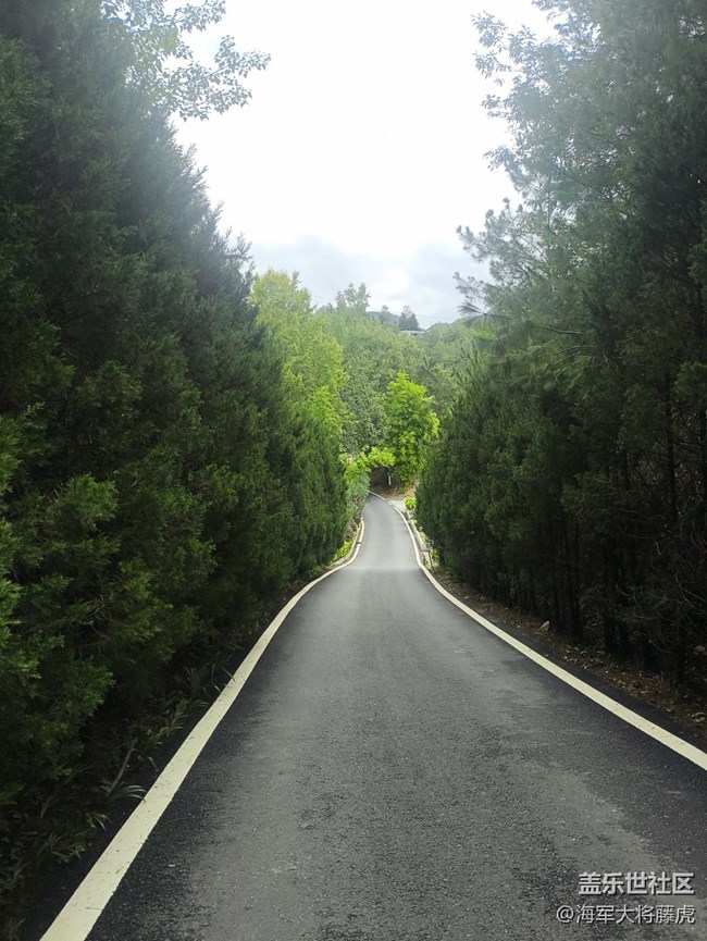 【秋末山景】秋末山径里，藏着时光的温柔