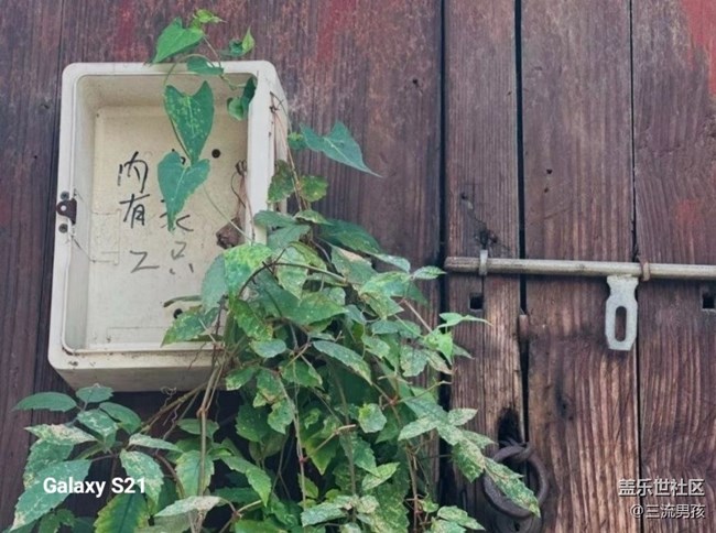 【三星视界】周末愉快