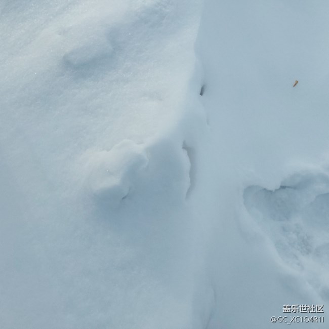 【银装视界】银装