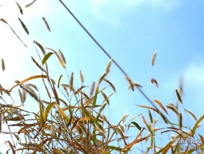 【三星视界】周末愉快