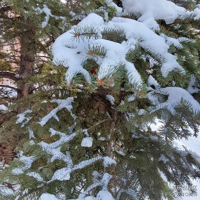 【银装视界】银装