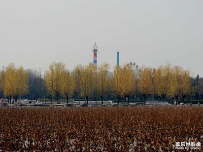 【顺光逆光】+除夕倒计时