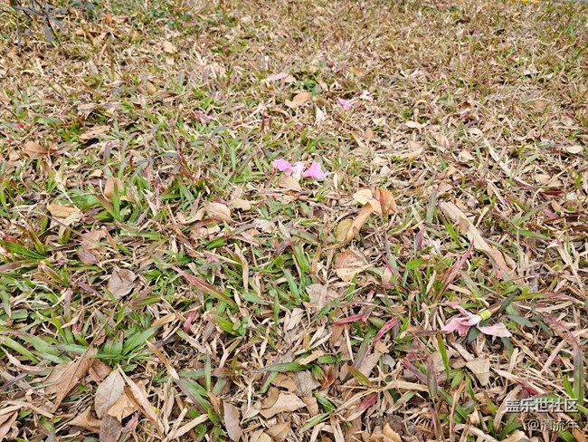 【街巷秋痕】漫步