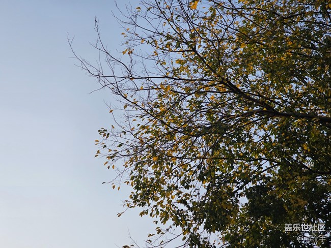 【秋末山景】太阳下山