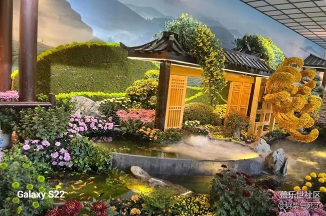 【三星视界】花艺展