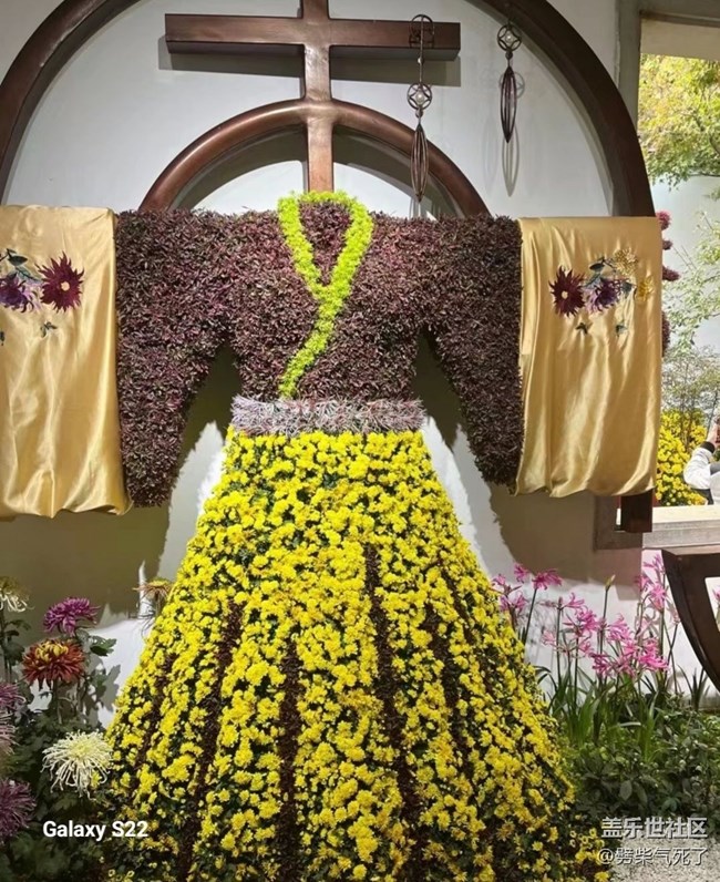 【三星视界】花艺展