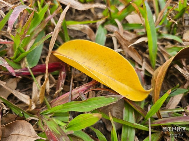 【街巷秋痕】漫步