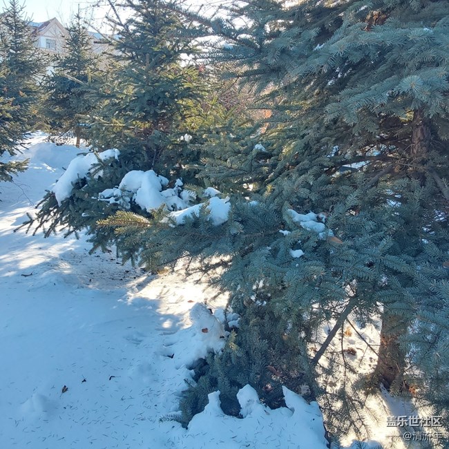 【银装视界】银白世界