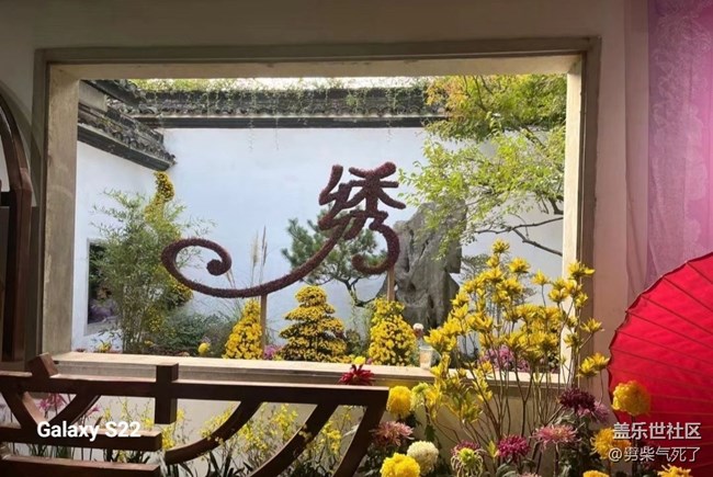 【三星视界】花艺展