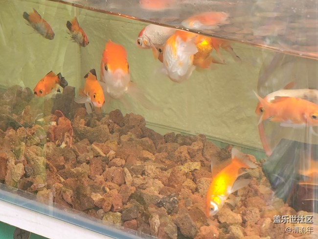 【街巷秋痕】漫步