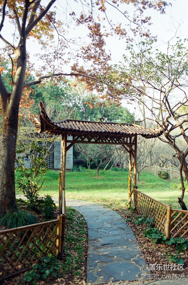 【秋末山景】秋末林间，是阳光染透的温柔