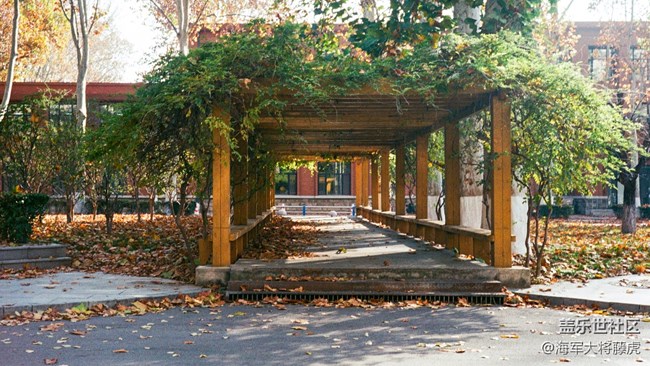 【秋末山景】秋末林间，是阳光染透的温柔