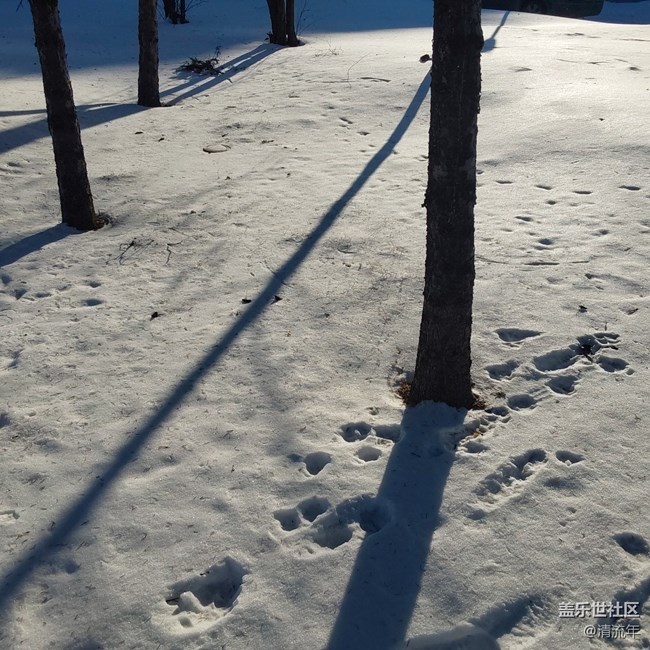 【银装视界】银白世界