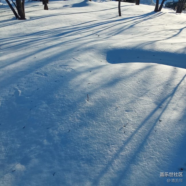 【银装视界】银白世界