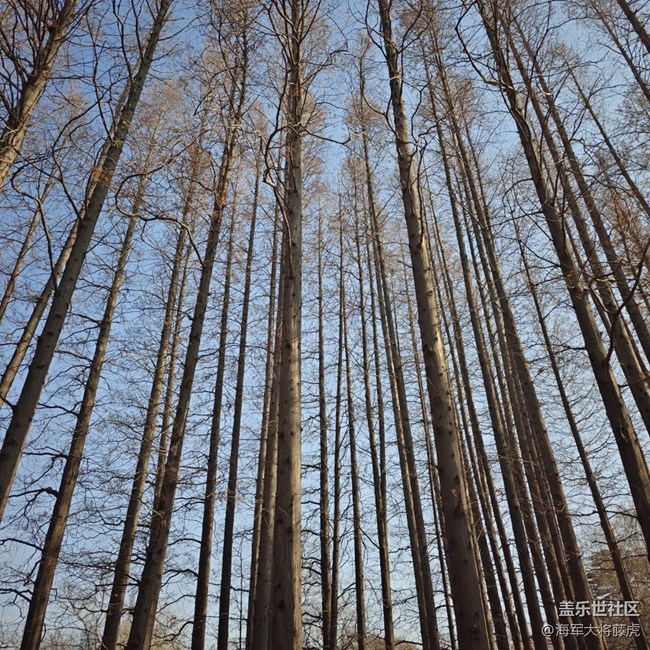 【街巷秋痕】街巷里的秋痕,是时光轻擦的痕迹 【街巷秋痕】街巷里的秋痕,是时光轻擦的痕迹