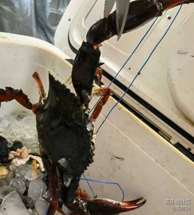 【雪落食暖】清蒸螃蟹