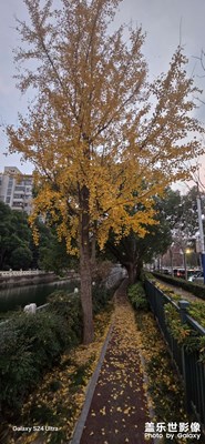 秋之痕，冬将近！