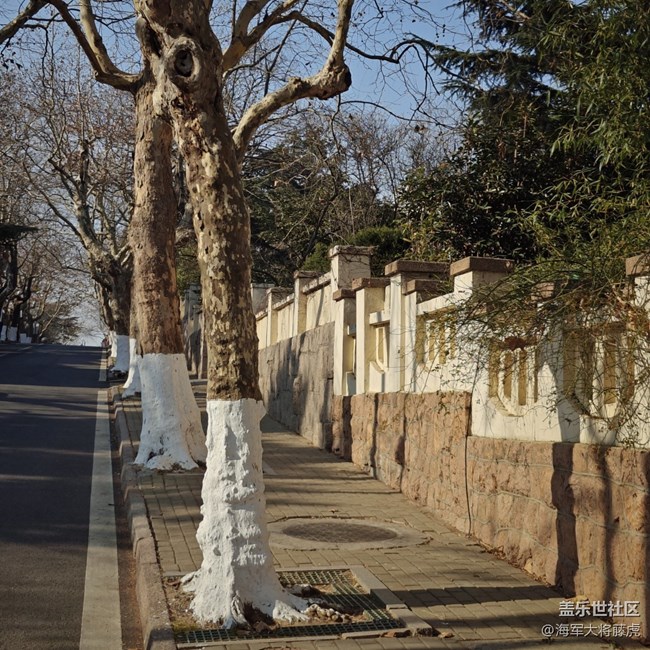 【街巷秋痕】街巷里的秋痕,是时光轻擦的痕迹 【街巷秋痕】街巷里的秋痕,是时光轻擦的痕迹