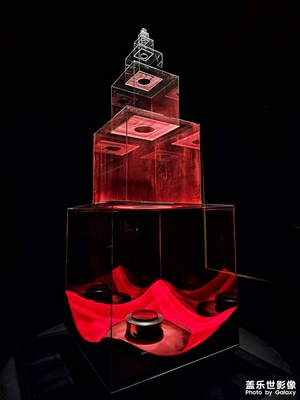 【顺光逆光】生命的绽放