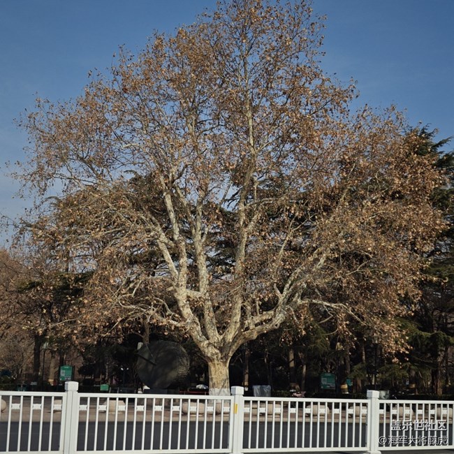【街巷秋痕】街巷里的秋痕,是时光轻擦的痕迹 【街巷秋痕】街巷里的秋痕,是时光轻擦的痕迹