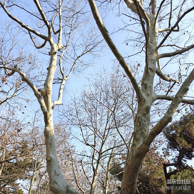 【街巷秋痕】街巷里的秋痕,是时光轻擦的痕迹 【街巷秋痕】街巷里的秋痕,是时光轻擦的痕迹