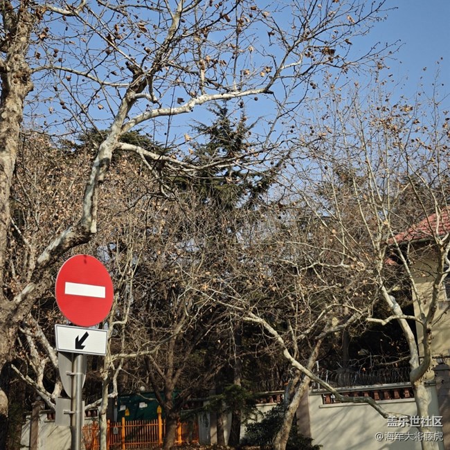 【街巷秋痕】街巷里的秋痕,是时光轻擦的痕迹 【街巷秋痕】街巷里的秋痕,是时光轻擦的痕迹