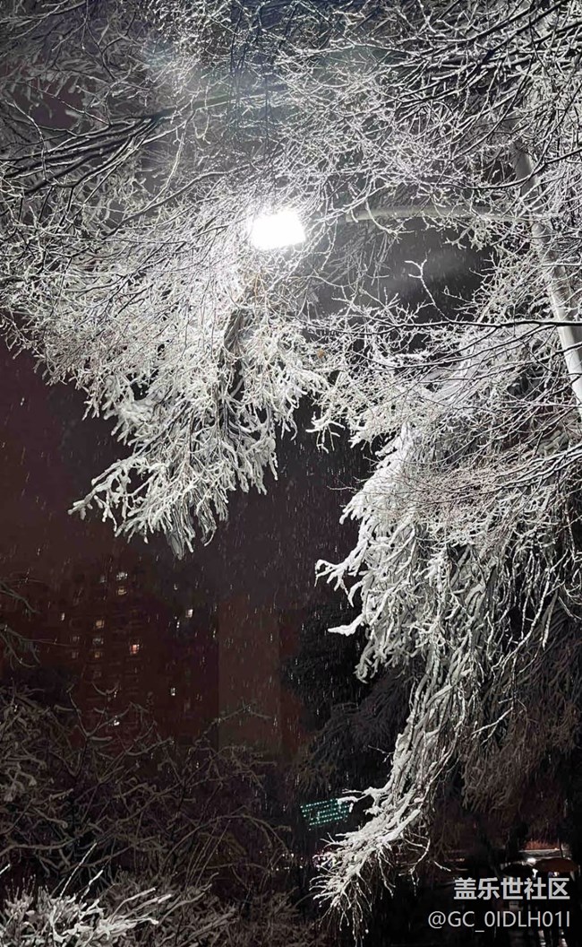 【银装视界】大雪纷飞